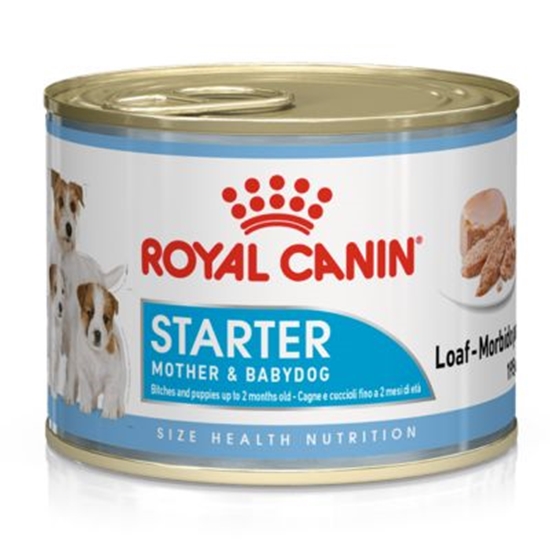 Picture of Starter Mousse Mother & Babydog